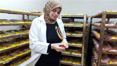 ضبط 3 طن دواجن مجهولة المصدر في حملات تفتيشية بالشرقية 