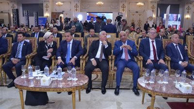 عصمت :خطة متكاملة للتشغيل الإقتصادي لمحطات توليد الكهرباء 