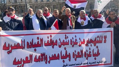 مرسيليا تشهد تظاهرة داعمة لمصر ورافضة للتهجير القسري للفلسطينيين.. صور