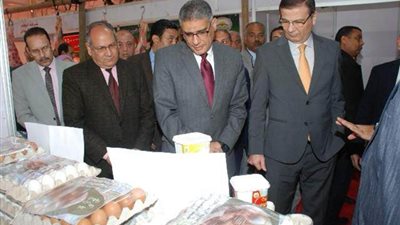 البحوث الزراعية في أسبوع.. خطوات ثابتة نحو الاستدامة الزراعية وتعزيز الثروة الحيوانية في مصر