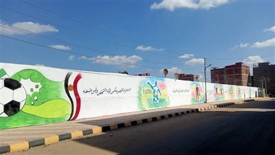 محافظ الدقهلية يتابع أعمال رفع كفاءة شوارع  مدينة أجا