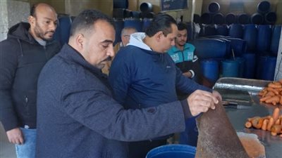 ضبط 31 طن مخلل وإعدام 950 كيلو غير صالح للإستخدام بأولاد صقر