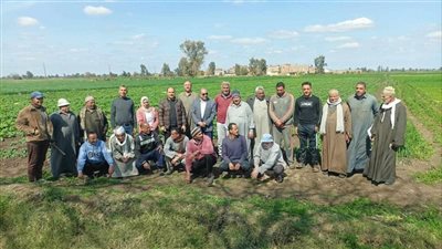 البحوث الزراعية: حصاد أنشطة مبادرة تفعيل المراكز الإرشادية خلال شهر فبراير 2025