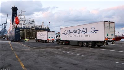 ابرز المعلومات  عن خط الرورو بين مينائى دمياط وتريستا الإيطالي