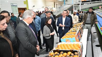محافظ البحيرة تتفقد شركات 