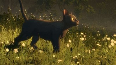 إنطلاق حفل توزيع جوائز الأوسكار الـ97