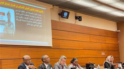 فعالية بجنيف تناقش انتهاكات المليشيا و العنف ضد المرأة بالسودان