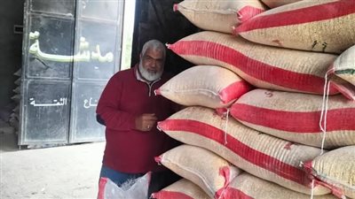 ضبط 16 طن ملح وأعلاف ومقرمشات مجهولة المصدر ببلبيس