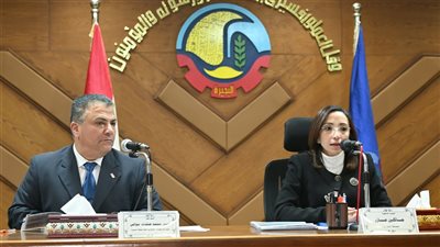 الموافقة على 31 خريطة مخططات تفصيلية بقرى ومدن البحيرة  