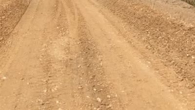 محافظ الدقهلية يتابع رصف طريق نبروه طنيخ  