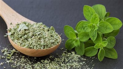 عشبة صغيرة بمفعول كبير.. لماذا ينصح خبراء التغذية بالبردقوش؟