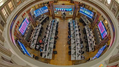 حديد عز تستكمل شراء أسهم المتضررين من الشطبب بمليار جنيه