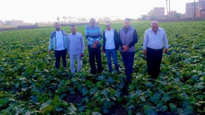 دعم الزراعة في أسيوط.. تحقيق الاكتفاء الذاتي وتنمية الريف وفق رؤية مصر 2030