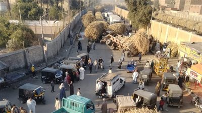 انقلاب مقطورة قصب السكر بجوار مصنع سكر كوم امبو بأسوان