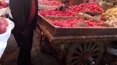 محافظ الدقهلية يتفقد سوق كفر البدماص بالمنصورة 