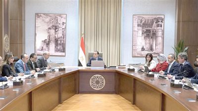 رئيس الوزراء يبحث ووزير الطيران مستجدات ملف إدارة وتشغيل المطارات المصرية أمام القطاع الخاص