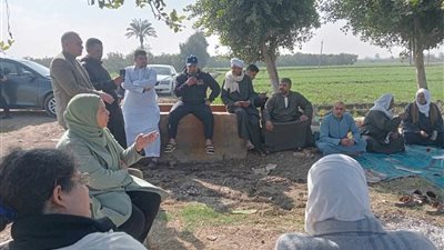 الزراعة تتابع المحاصيل الاستراتيجية وتنفذ 86 حقلًا إرشاديًا