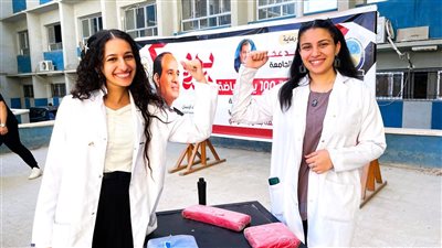 جامعة جنوب الوادي: تطبيق إلكتروني لتقديم الاستشارات النفسية والاجتماعية للطالبات 