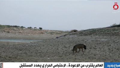 العالم يقترب من اللاعودة.. الاحتباس الحراري يُهدد المستقبل