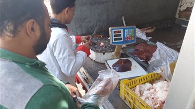 إنطلاق قافلة سيارات اللحوم المدعمة بمركزي المنصورة والكردي