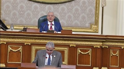 الحكومة تطلب الإبقاء على حالات إلغاء ترخيص الشركات