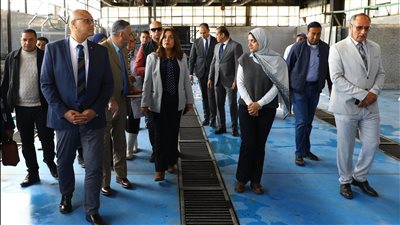 خطة حكومية لتطوير ورفع كفاءة المجازر علي مستوي الجمهورية 