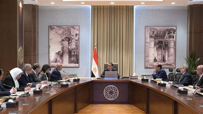 مدبولي يستعرض إجراءات إصلاح المنظومة الجمركية والحد من التهريب