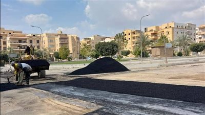 تكثيف مشروعات شبكات الكهرباء بأراضي 