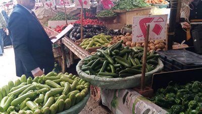 ضبط أكثر من 2 طن ملح وذرة بالدقهلية