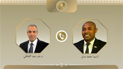 وزير الخارجية: مصر حريصة على تعزيز التبادل التجاري والاستثماري مع جزر القمر