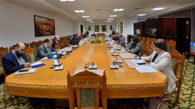 انعقاد اللجنة الدائمة لمتابعة العلاقات المصرية الإفريقية