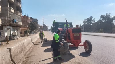 رفع 300 طن مخلفات بلدية بمركز المنصورة