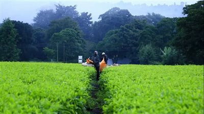 كيف ستؤثر الحرب التجارية بين الولايات المتحدة والصين على كينيا؟