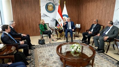 وزير البترول يبحث مع سفيرة النرويج بالقاهرة تعزيز التعاون المشترك