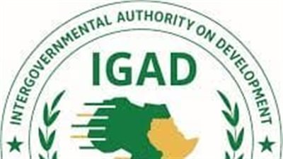 قمة الايغاد تضع شروط حول المعتقلين  وتشكل لجنة للحوار بين الأطراف 