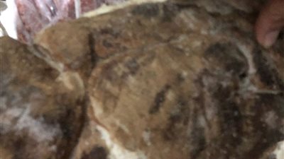  الدقهلية: ضبط 2 طن ونصف لحوم ودجاج مخالفة للمواصفات