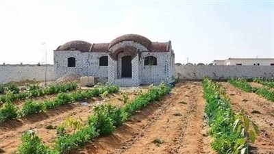 التبرعات الباب الخلفى لاغتصاب «الرقعة الزراعية