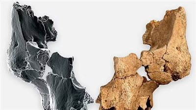 اكتشاف أقدم وجه بشري في أوروبا الغربية: 