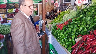 ضبط أكثر من طن نخالة وسلع متنوعة بالدقهلية