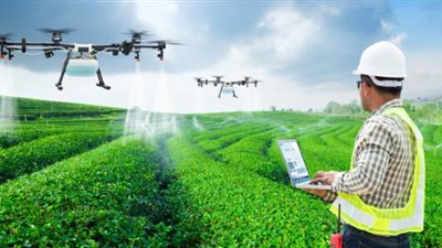 المستشار الزراعي لسفارة هولندا: مساحة هولندا 4.5%‎ من مساحة مصر وصادراتها 100 مليار دولار