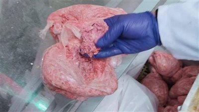 حملات رقابية على الأسواق ومنافذ بيع اللحوم والدواجن ببورسعيد 