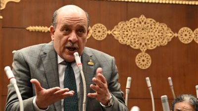 ضيف الله : إزالة معوقات التسجيل العقاري ضرورة للحفاظ على الثروة العقارية 