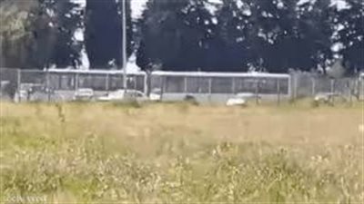 المرصد السوري: سلطات دمشق أرسلت حافلات لنقل العائلات من حميميم