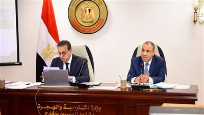 نائب رئيس الوزراء ووزير الخارجية يجتمعان لمناقشة خطة إعادة إعمار غزة وتأهيل القطاع الصحي