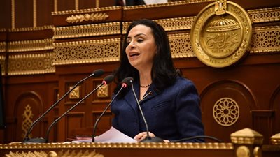 وزيرة التضامن تشارك في جلسة 