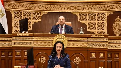 رفع جلسات الشيوخ والعودة للانعقاد 6 ابريل