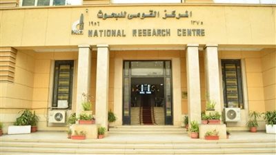 التعليم العالي: دعم الابتكار في الصناعات النسيجية لتعزيز التصنيع المحلي