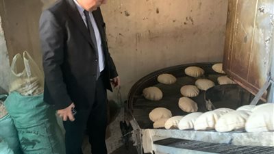 ضبط أكثر من نصف طن علف وسلع متنوعة بالدقهلية