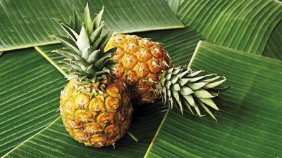 الأناناس.. أشخاص ممنوعين من تناوله وفوائده لكبار السن 