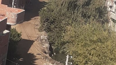 عزبة الحاج ديسطي بالدقهلية.. خارج عقارب الزمن